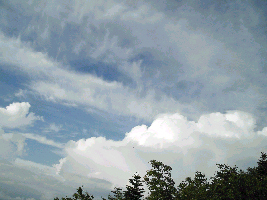 d0002224_9523715.jpg
