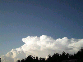 d0002224_9532180.jpg