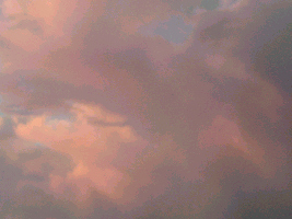 d0002224_9562482.jpg