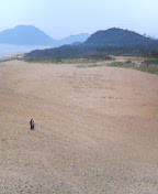 d0007037_10322294.jpg