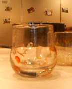 d0007037_21254630.jpg