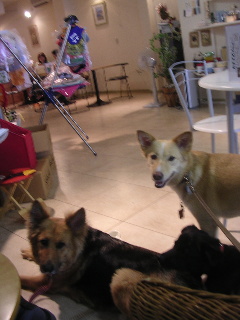 c0065643_17384720.jpg