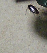d0030061_11381960.jpg