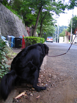 c0010769_1671758.jpg
