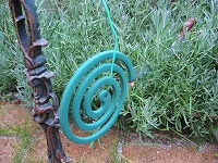 c0045882_23464478.jpg