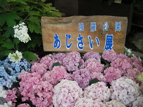 e0020882_2126085.jpg