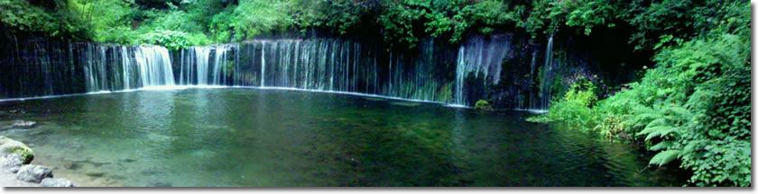 e0010185_1054479.jpg