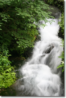 e0010185_9452759.jpg
