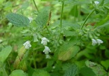 d0009689_14144151.jpg