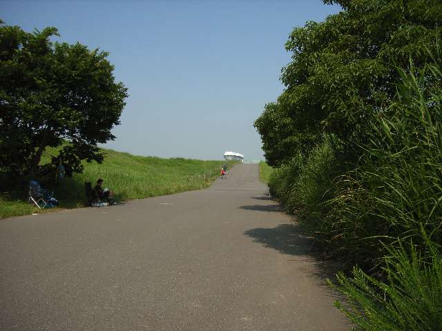 c0000391_2131793.jpg