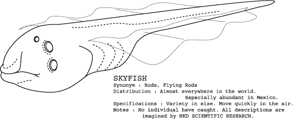e0003002_7573041.gif