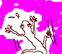 c0056903_1353598.gif