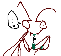 c0056903_19305076.gif
