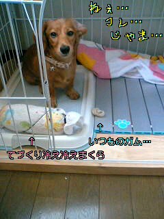 d0046905_15433186.jpg