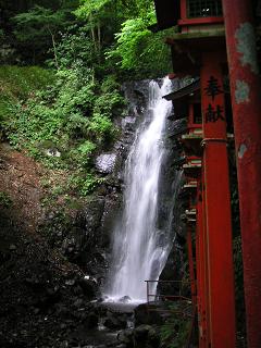b0007421_21484882.jpg