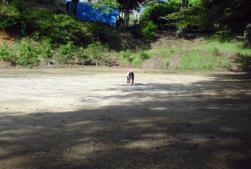 b0066826_9302065.jpg