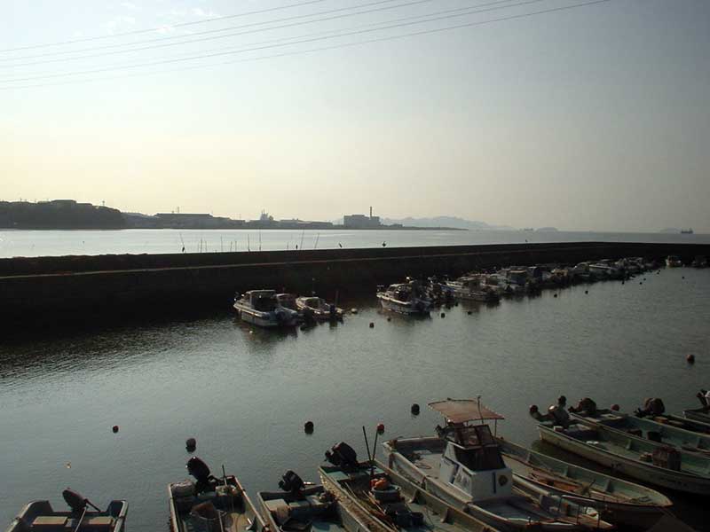 b0066826_93038.jpg