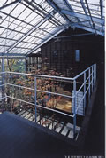 d0004728_152732100.jpg