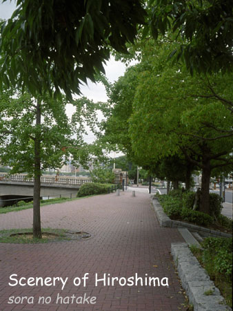 d0036630_1539958.jpg