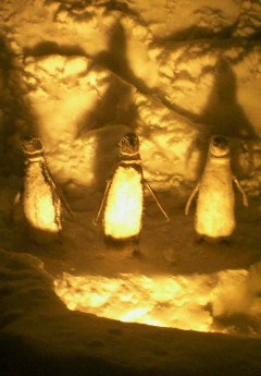 e0018941_0323510.jpg