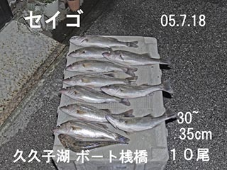 e0023183_10523022.jpg