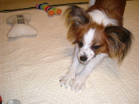 c0044199_21265093.jpg