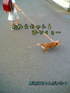 d0046905_831460.jpg