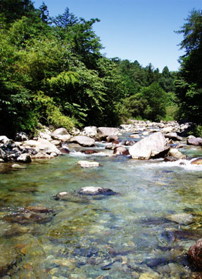 e0009009_019553.jpg