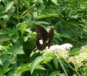 b0058229_1031685.jpg