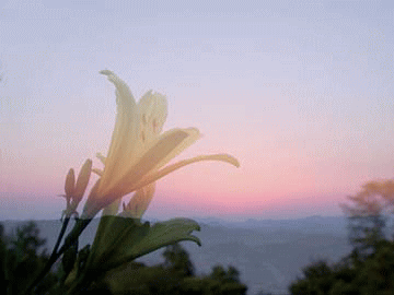 d0029829_2395985.gif