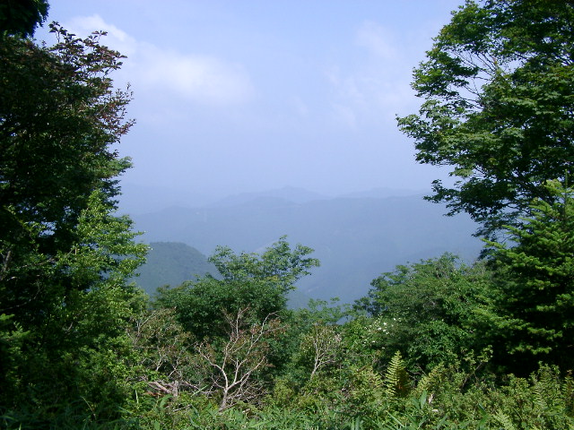 e0018941_0341434.jpg