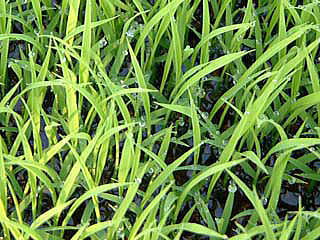 d0063550_10584052.jpg