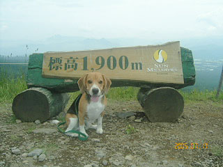 e0007060_9204918.jpg