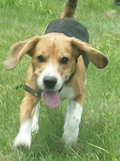 e0007060_9281240.jpg
