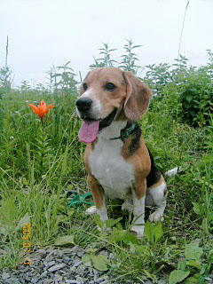e0007060_928476.jpg