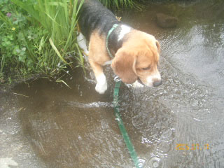 e0007060_9311624.jpg