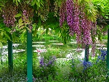b0042882_2312203.jpg