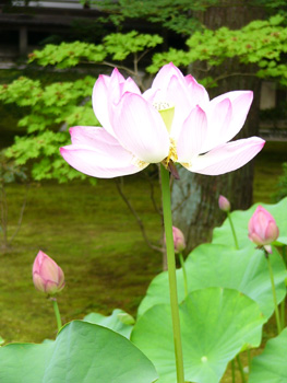 b0014587_23154655.jpg