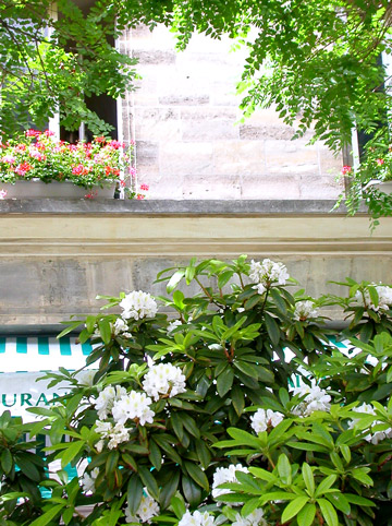 e0017393_22512620.jpg