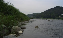 d0000995_18445348.jpg