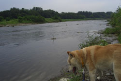 d0000995_18452858.jpg