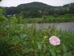 d0000995_18461548.jpg