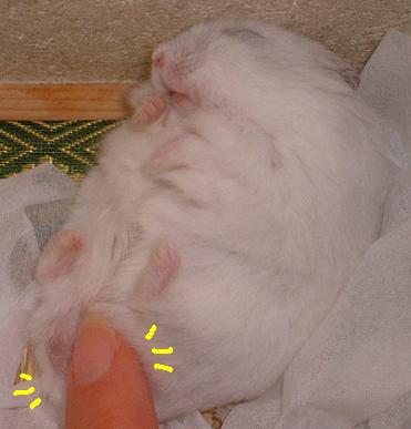 c0004601_9103171.jpg