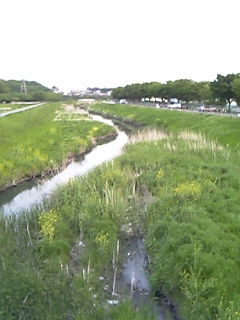 e0021410_0255956.jpg