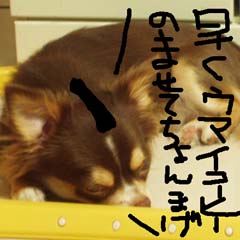 c0036617_7585860.jpg