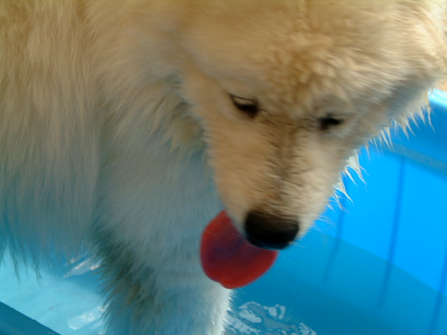 e0024126_1204938.jpg