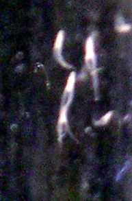 b0002333_1143033.jpg