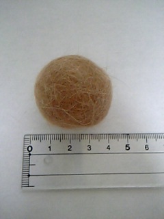 b0066240_20432615.jpg