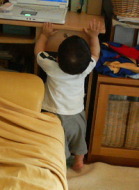 b0003855_1651597.jpg