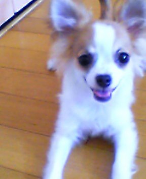 b0043980_1325019.jpg